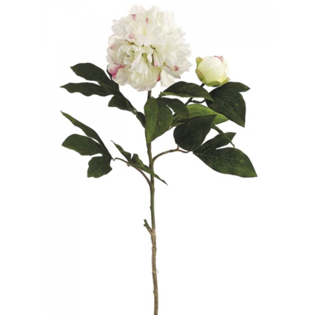 30&quot;Peony Spray Cr/Bt 