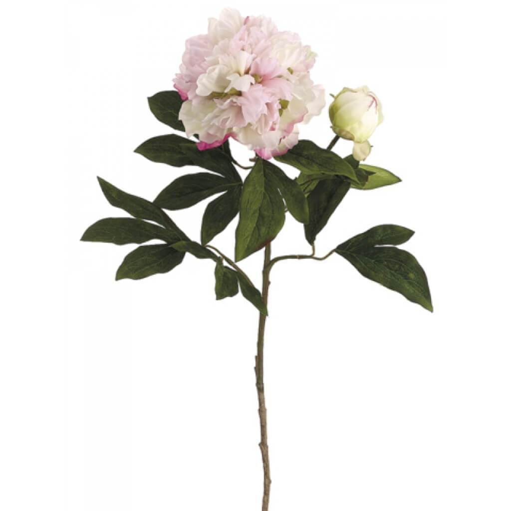 30"Peony Spray Pk/Bt 