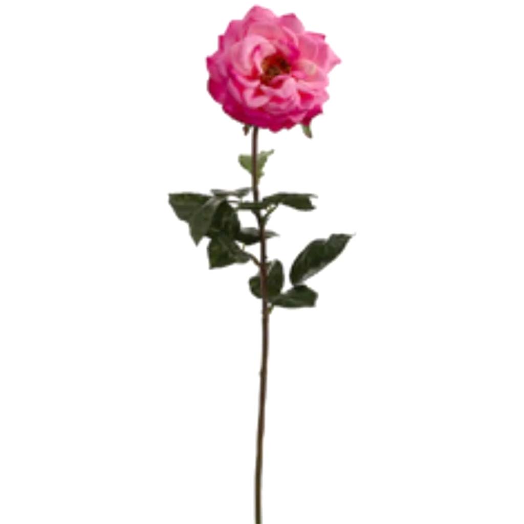 27"Rt Orlane Rose Spray Bt 