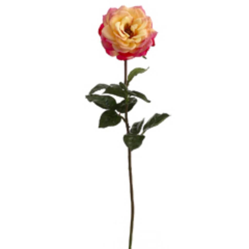 27"Rt Orlane Rose Spray Go/Bt 