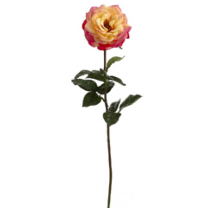27"Rt Orlane Rose Spray Go/Bt 