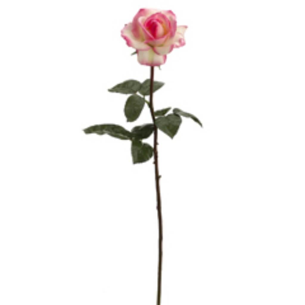27"Rt Caroline Rose Spray Crpk 