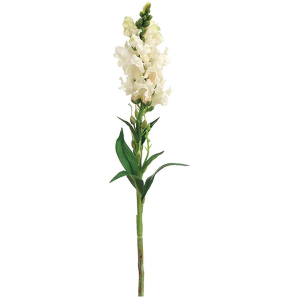21"Snapdragon Spray Cr 