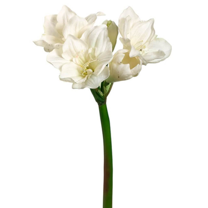 29"Amaryllis Spray Cr 