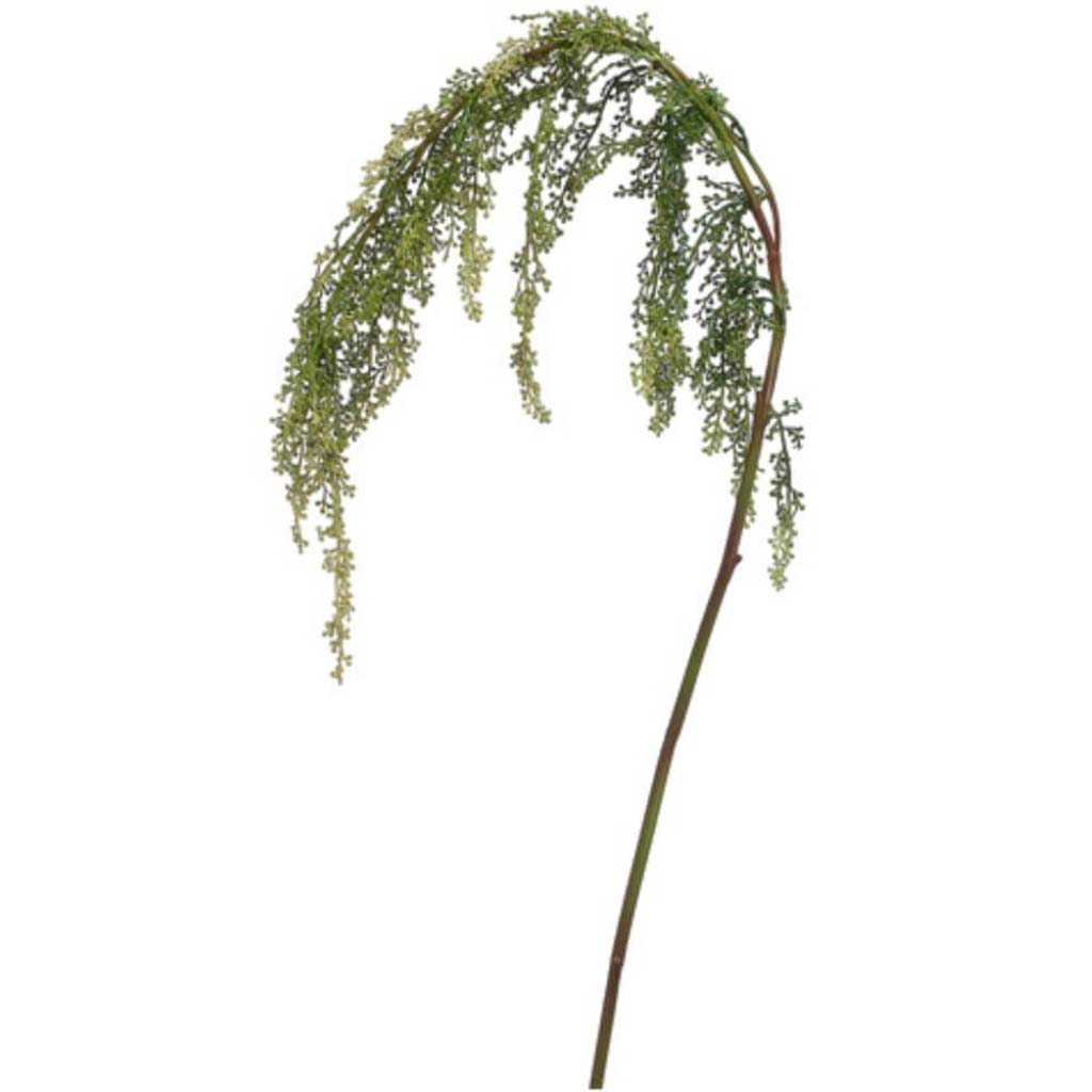 42&quot;Amaranthus Spray Gr/Tt 