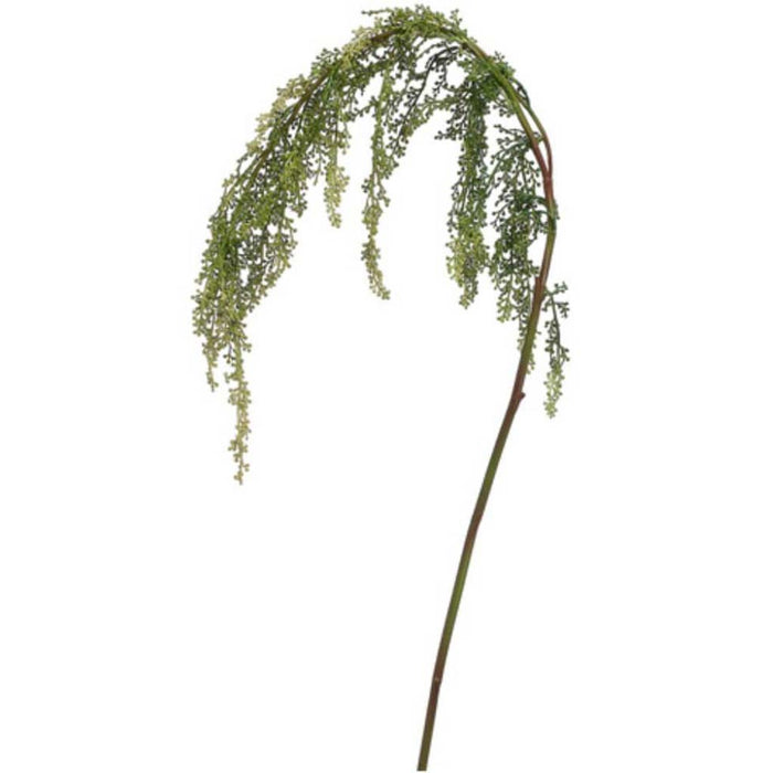 42"Amaranthus Spray Gr/Tt 