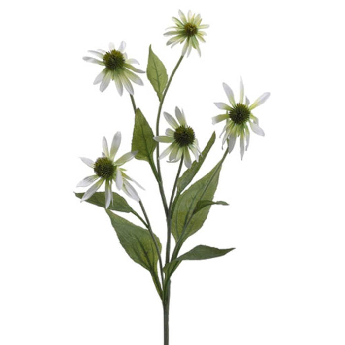 34"Coneflower Spray Cr/Gr 