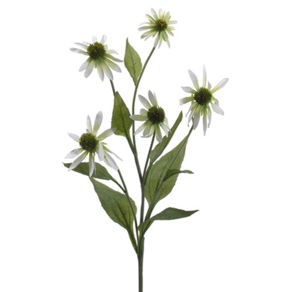 34"Coneflower Spray Cr/Gr 