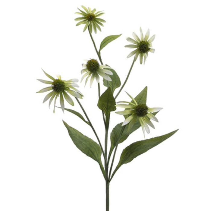 34"Coneflower Spray Gr 