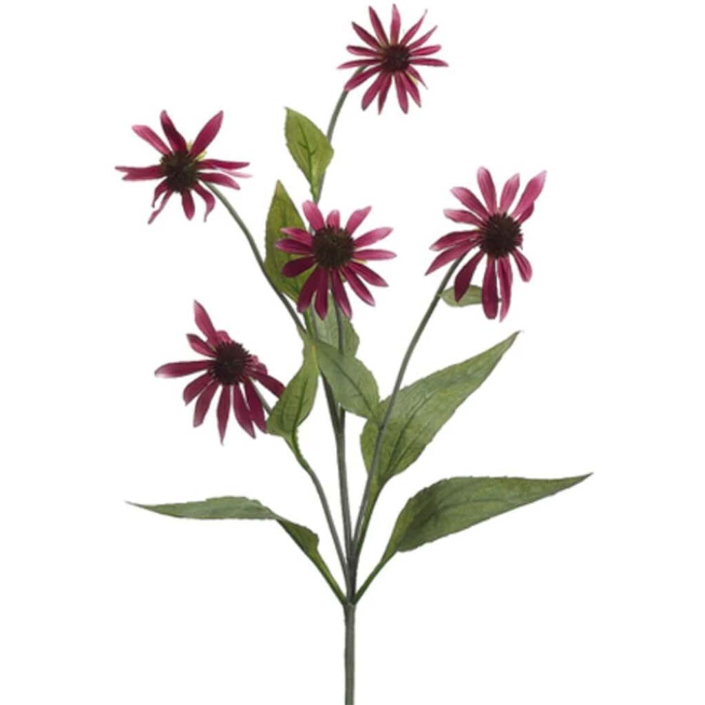 34"Coneflower Spray Rb 