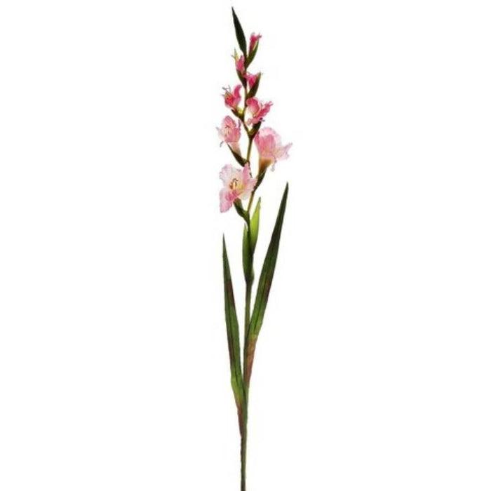 41"Gladiolus Spray 4F4B Pk 