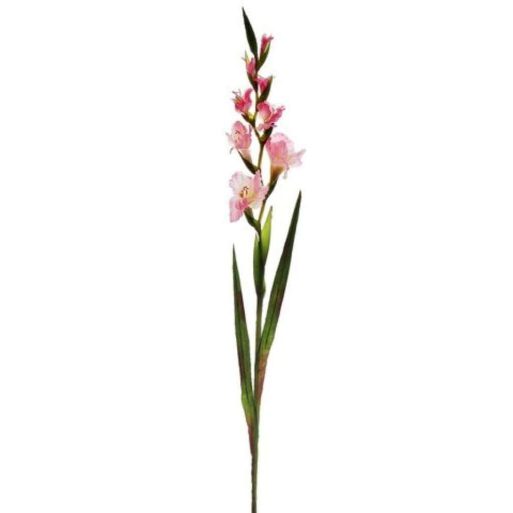 41&quot;Gladiolus Spray 4F4B Pk 