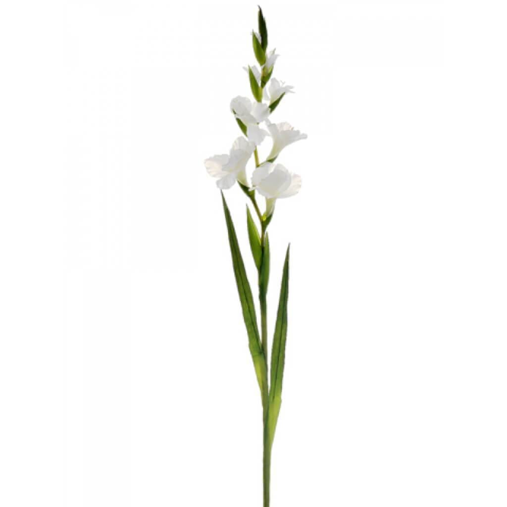 41&quot;Gladiolus Spray 4F4B Wh 