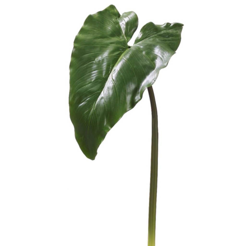 34"Calla Lily Leaf Spray Gr 