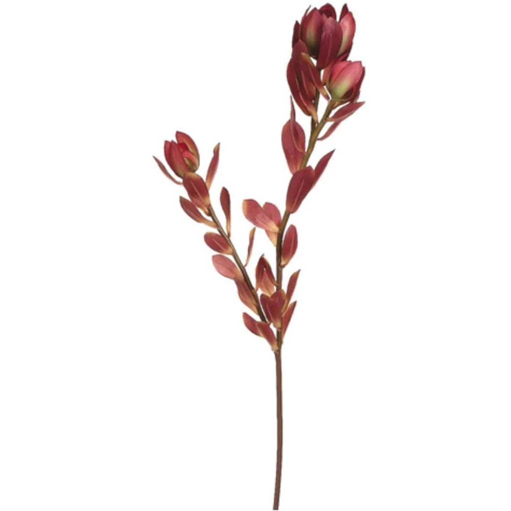 24"Mini Leucadendron Spray 