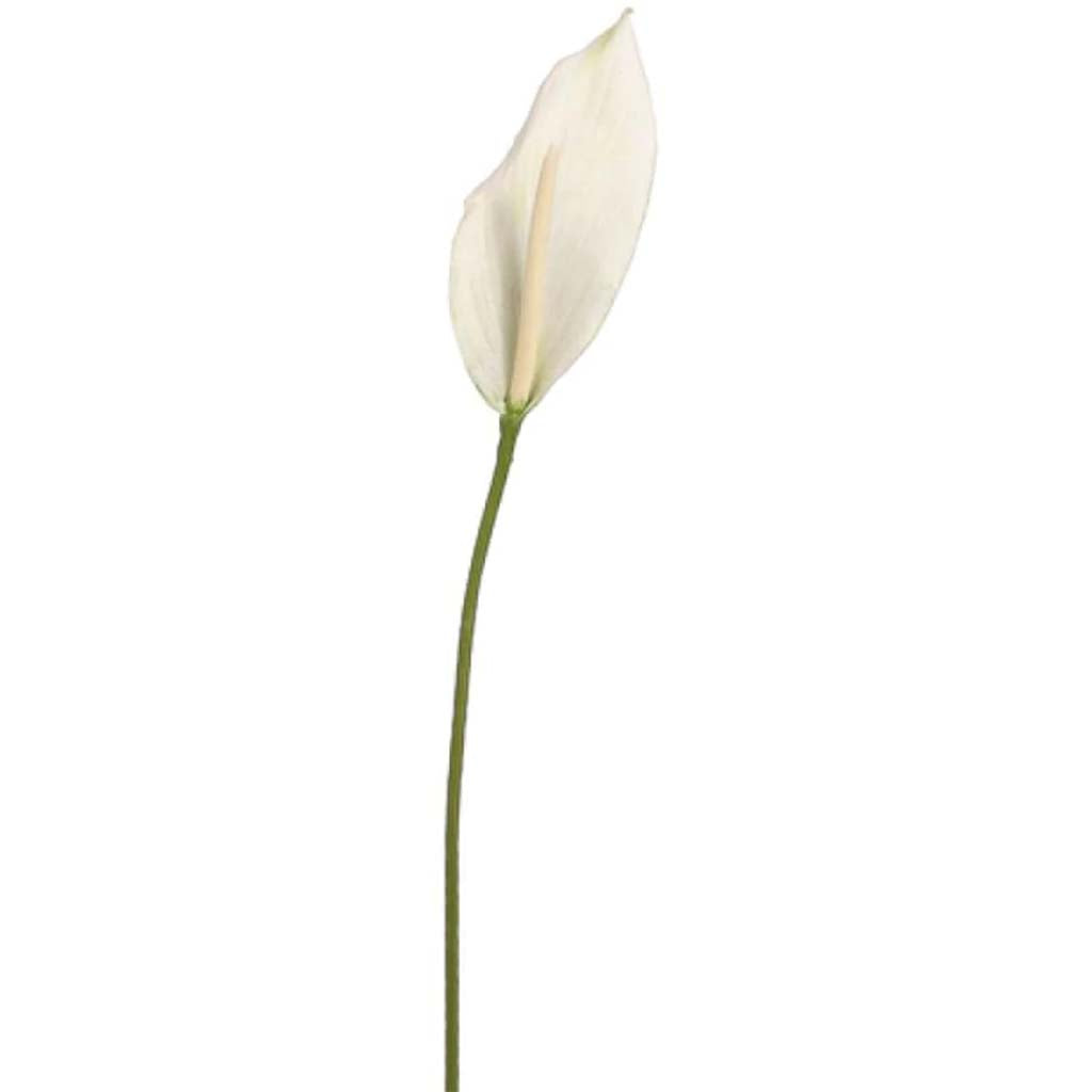 36"Peace Lily Spray Cr 