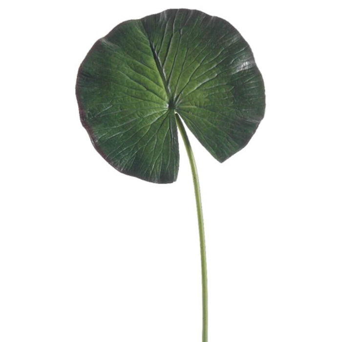 8D24"H Water Lily Lf Spray Gr 