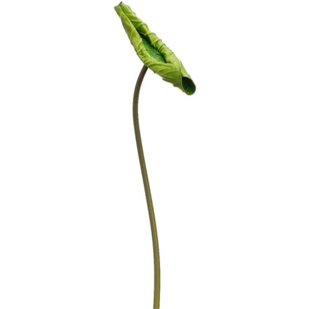 25"Lotus Leaf Spray Gr 