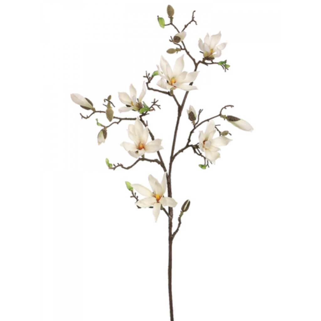 49"Magnolia Tree Branch Cr 