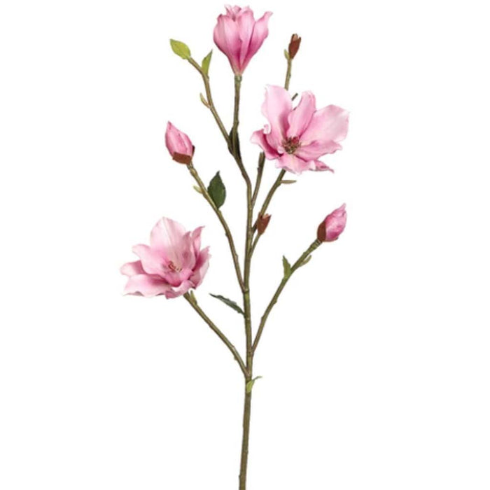 39"Tree Magnolia Branch Mv 