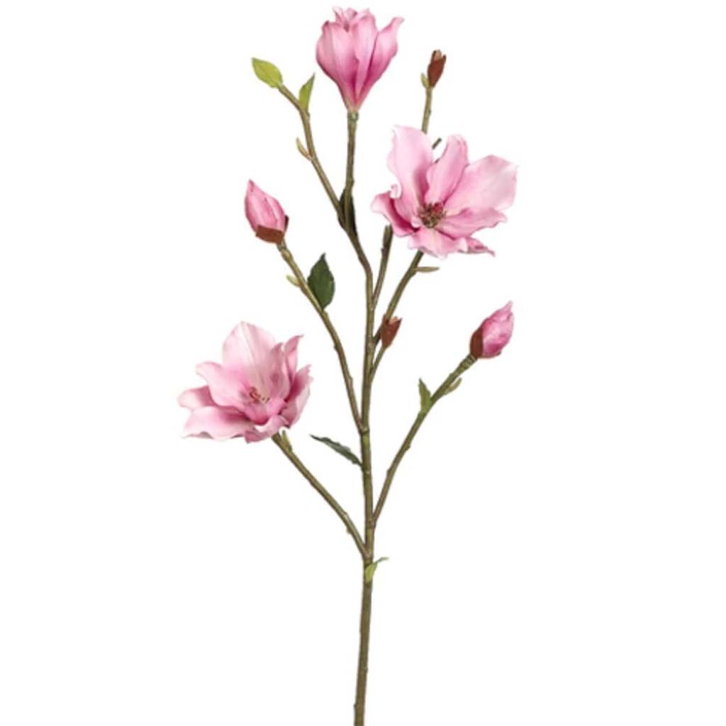 39"Tree Magnolia Branch Mv 