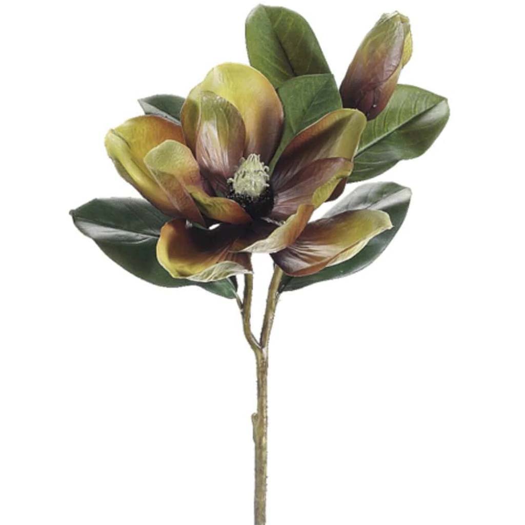 26.5"Magnolia Spray X2 Av/Br 