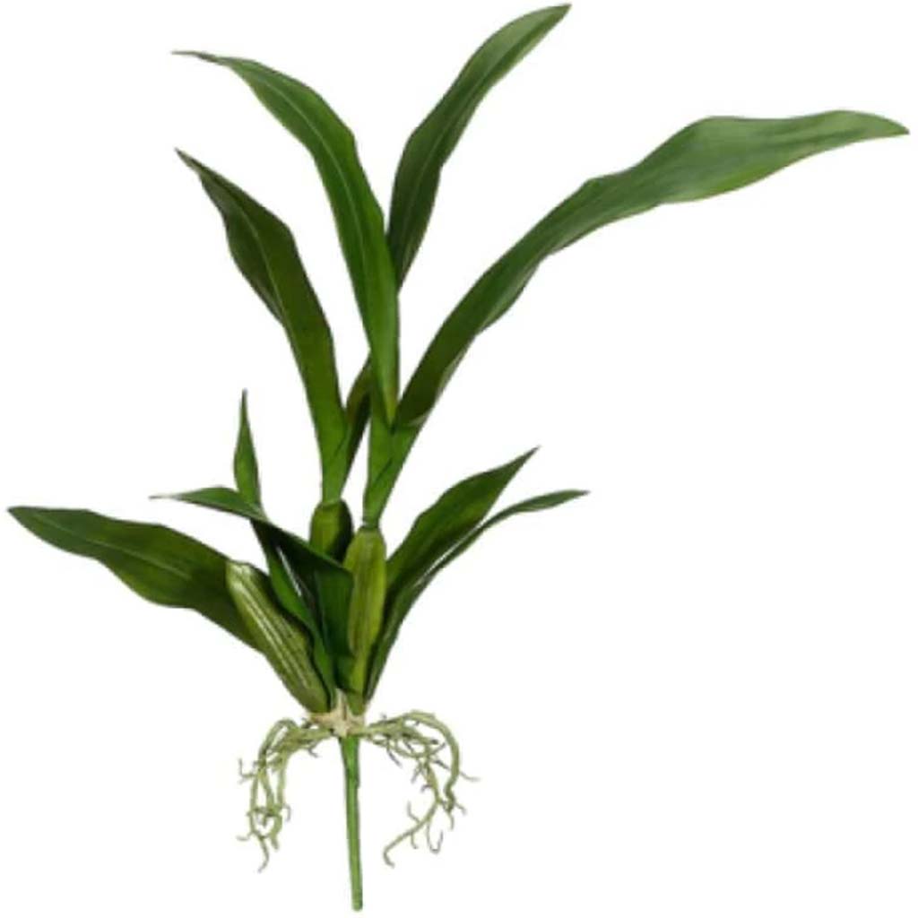 23"Oncidium Orchid Leaf Pl.Gr 