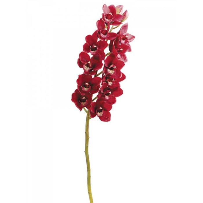 39"Cymbidium Orchid Spray Re 