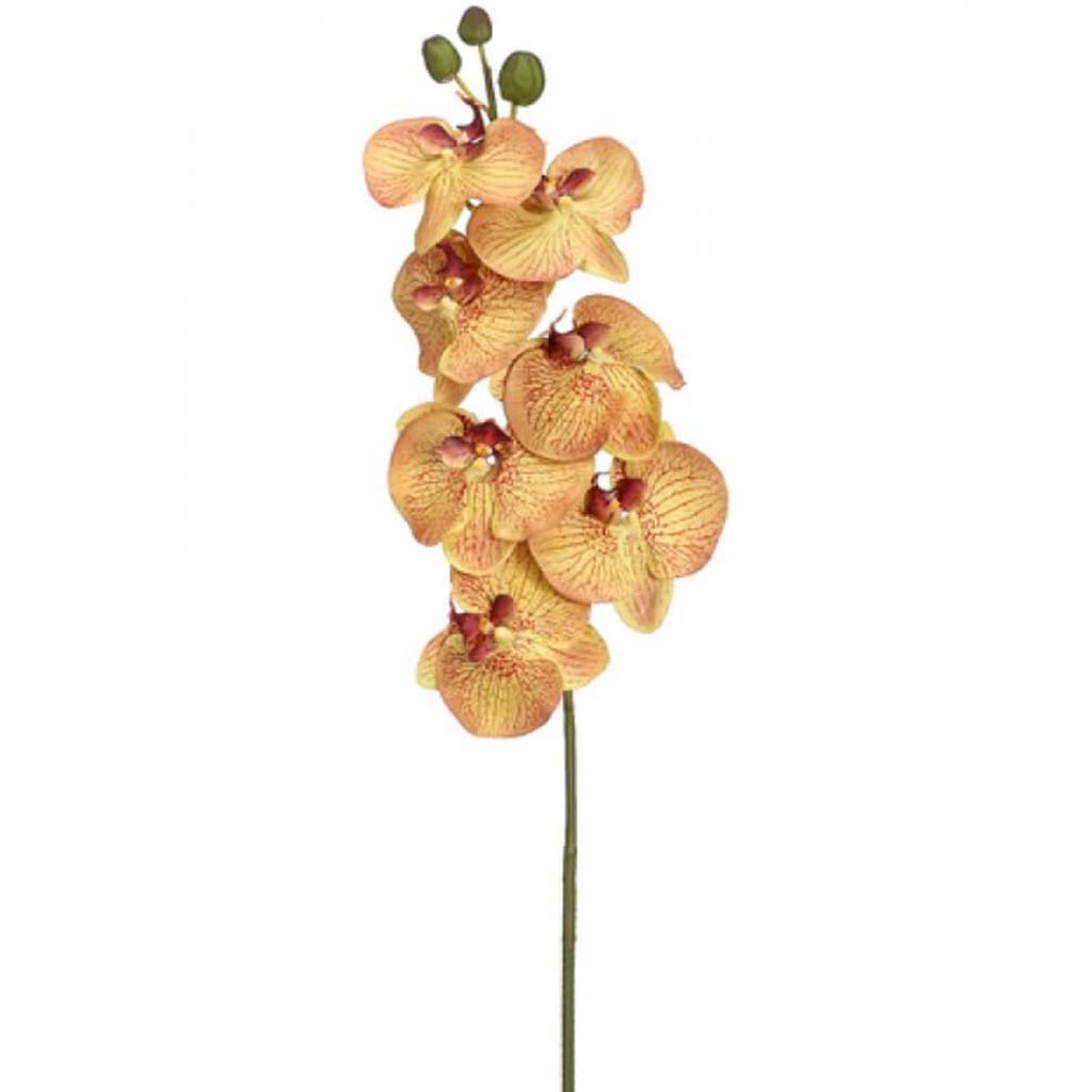 44"Phalaenopsis Spray Gr/Bu 