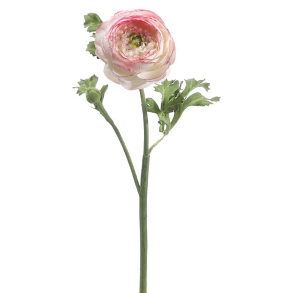 Ranunculus Spray Pk/Cr 13in 