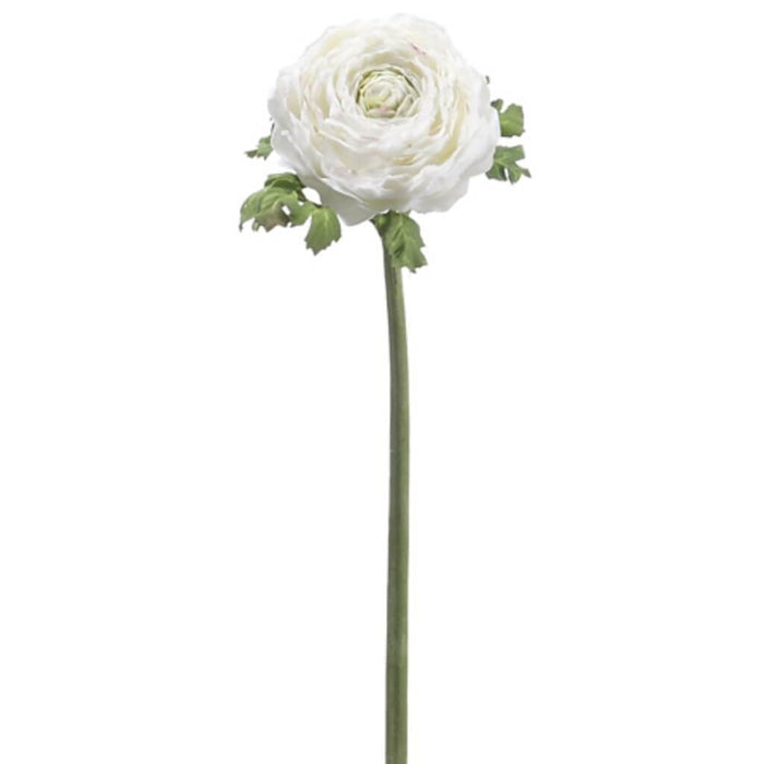 20"Ranunculus Spray Cr/Bu 