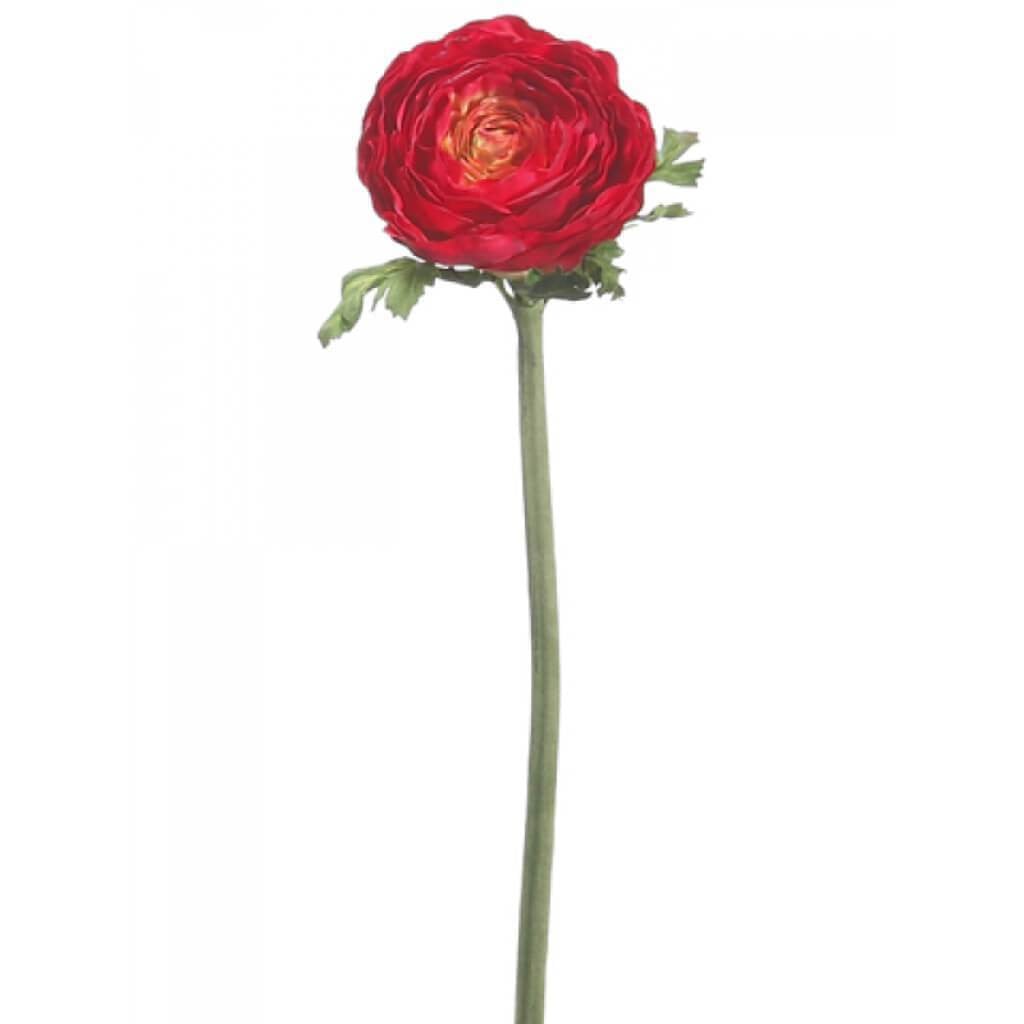 20&quot;Ranunculus Spray Re 