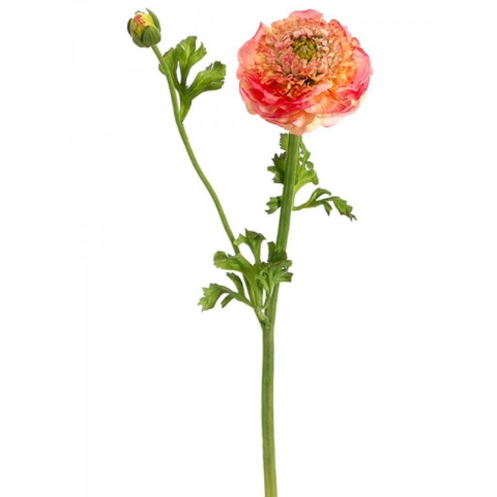 21"Ranunculus Spray Pe 