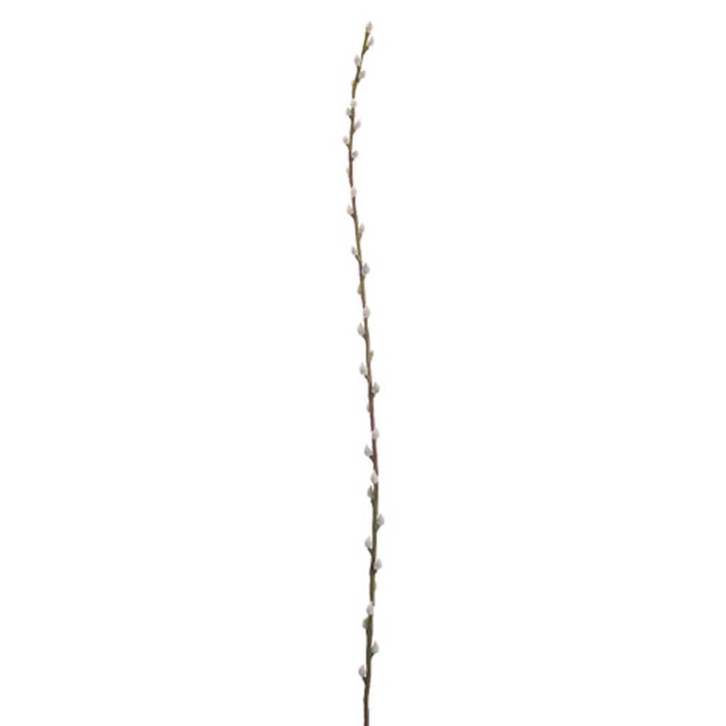 46&quot;Pussy Willow Branch Gy 