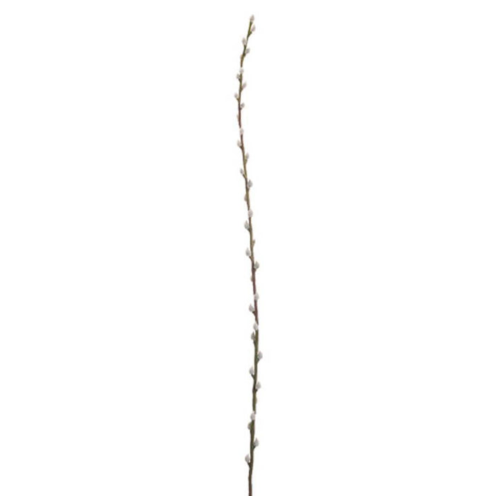 46"Pussy Willow Branch Gy 