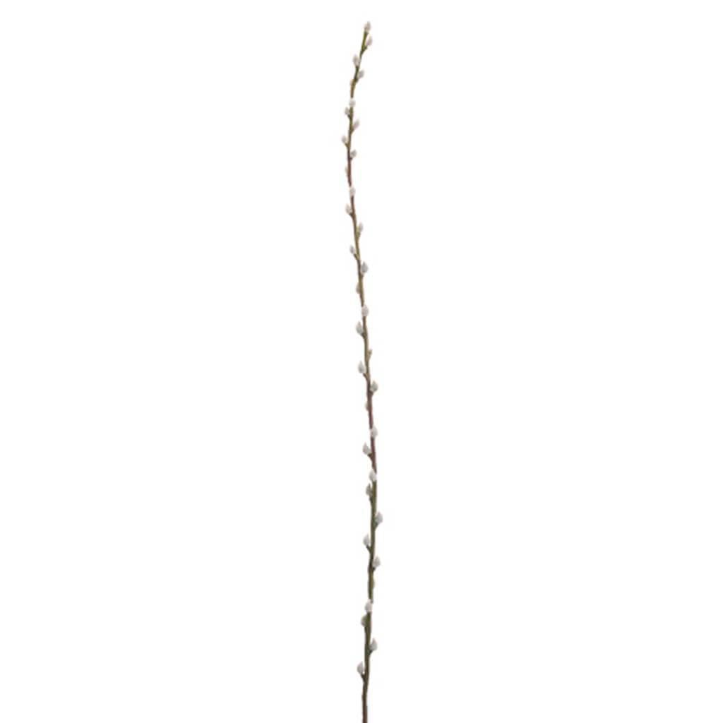 46"Pussy Willow Branch Gy 