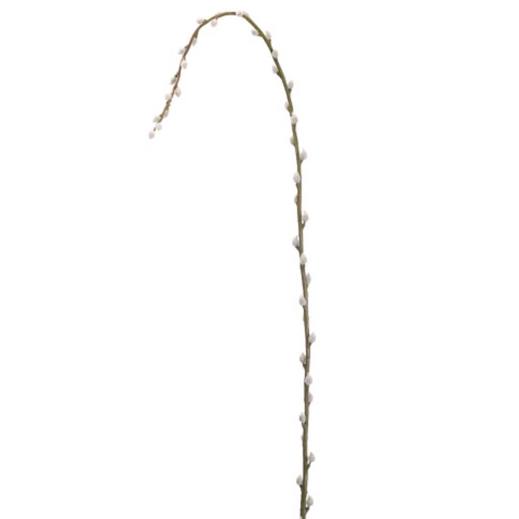 65"Pussy Willow Branch Gy 