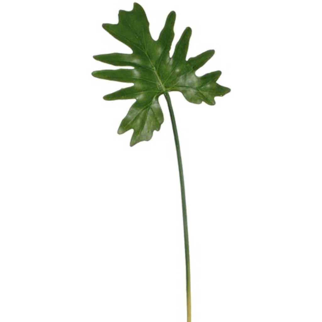 23"Sm Philodendron Leaf Sp.Gr 