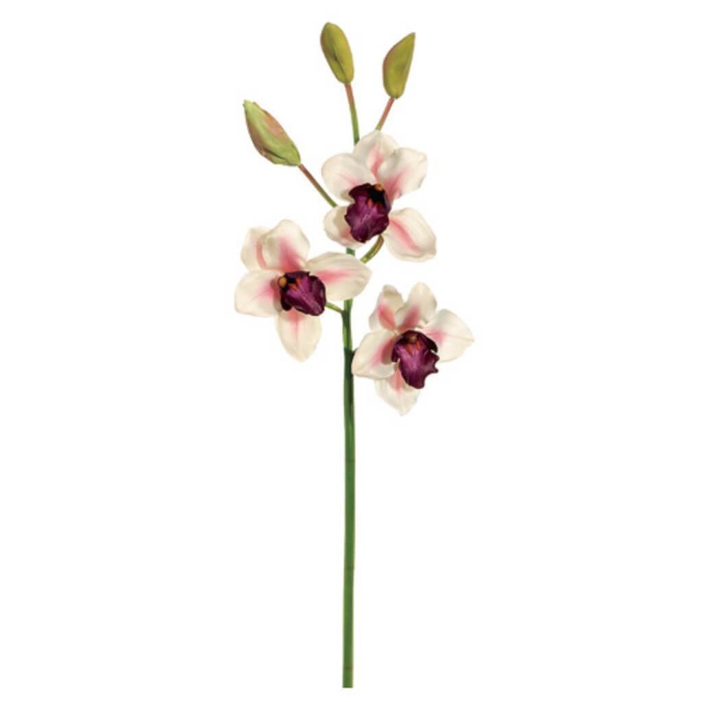 36"Lg Cymbidium Orchid 4F2B 