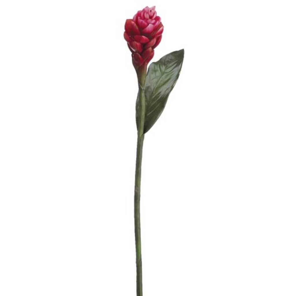 37"Torch Ginger Flower Sp.Fupk 