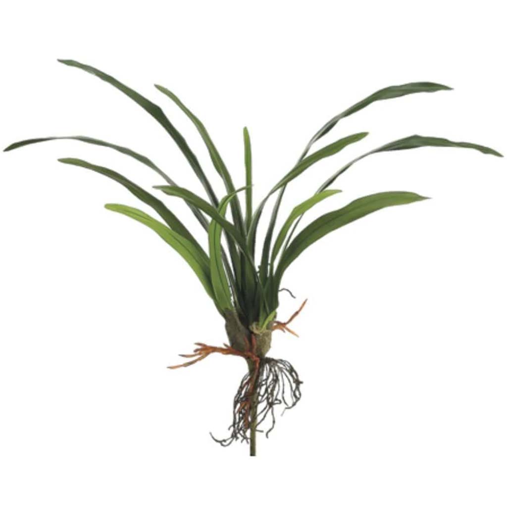 22"Cymbidium Leaf Plant Gr 
