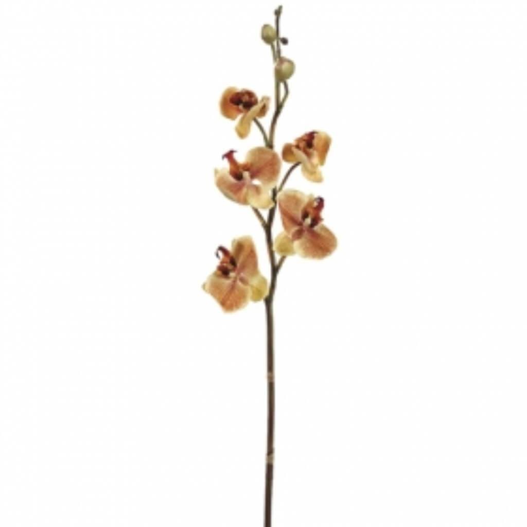 28"Phalaenopsis Spray Ap 