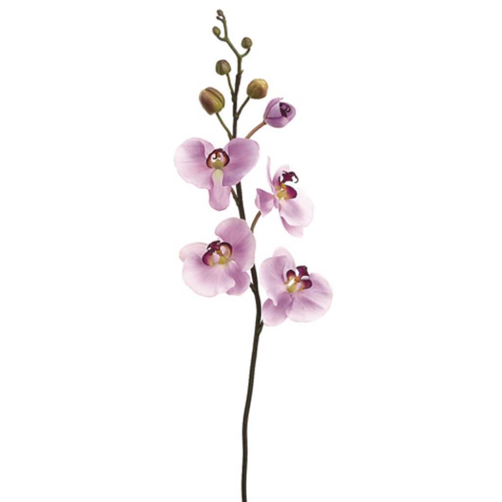 36"Phalaenopsis Stem Lv 