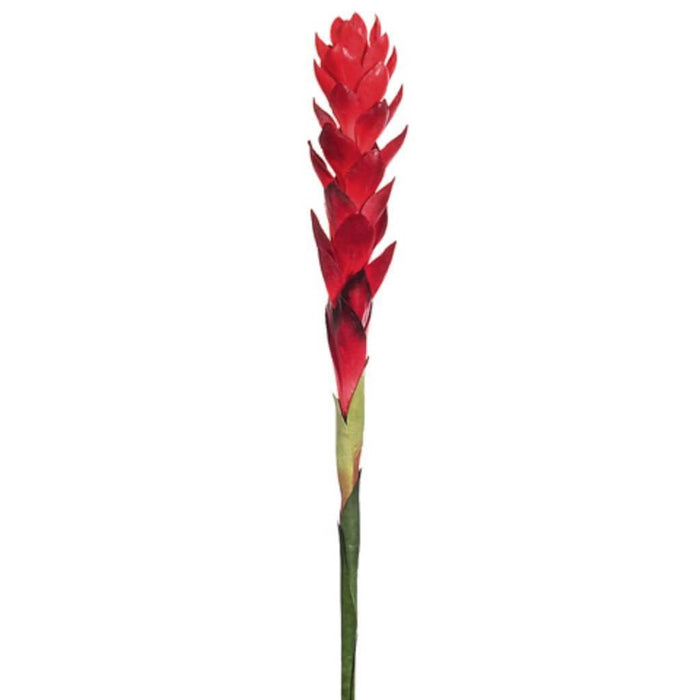 30"Hawaiian Ginger Spray X1 Re 