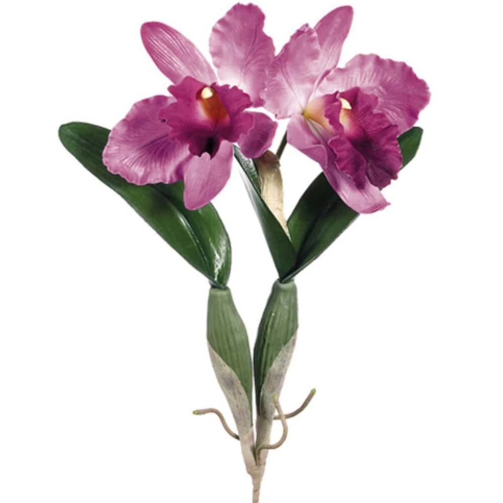 19"Lg Cattleya Sp.X2 2F3L Pu 