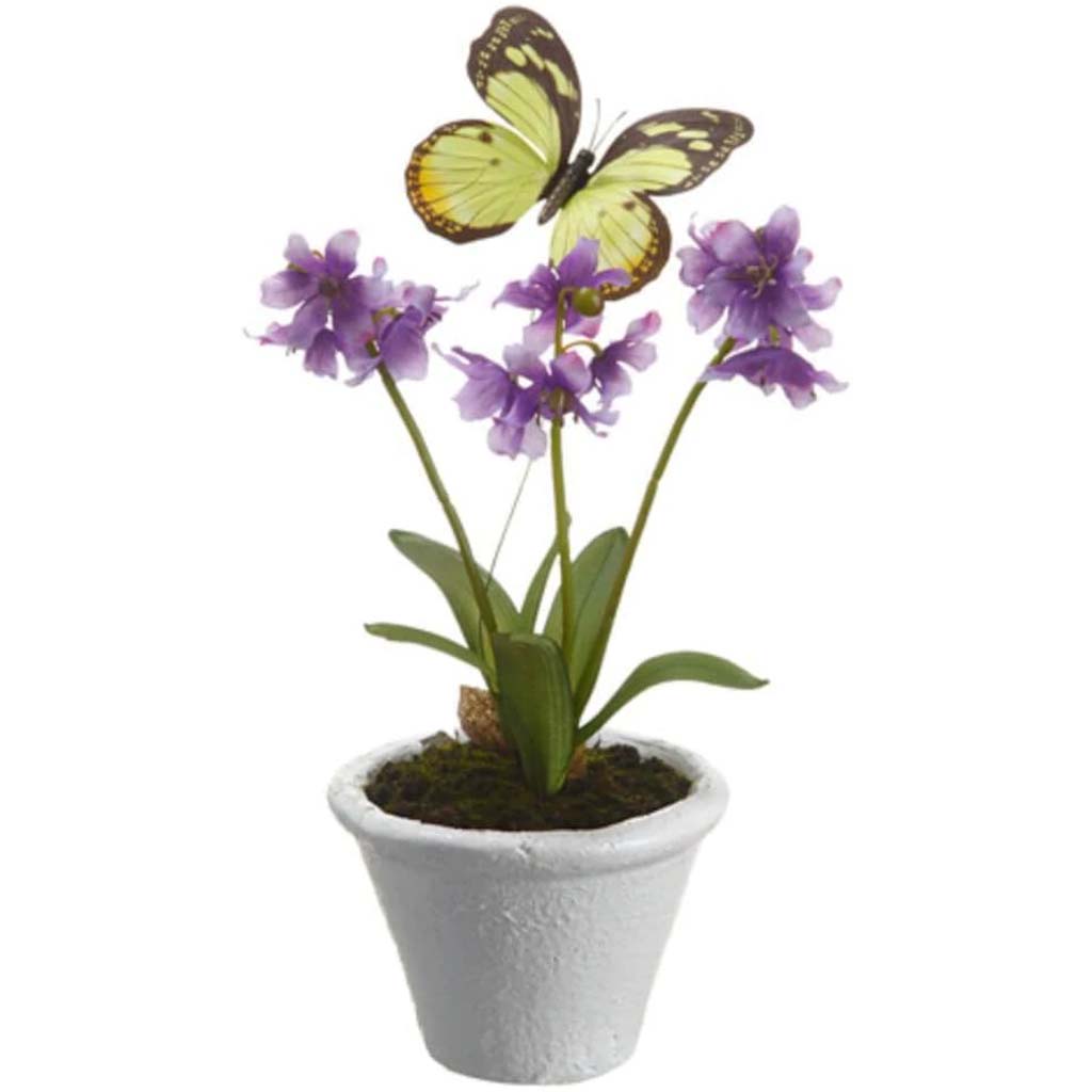 12"Dan.Primrose(P)W/Butterfly 