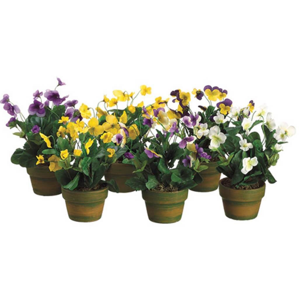 10&quot;Viola (T/C Pot)(5Clr/Ast) 