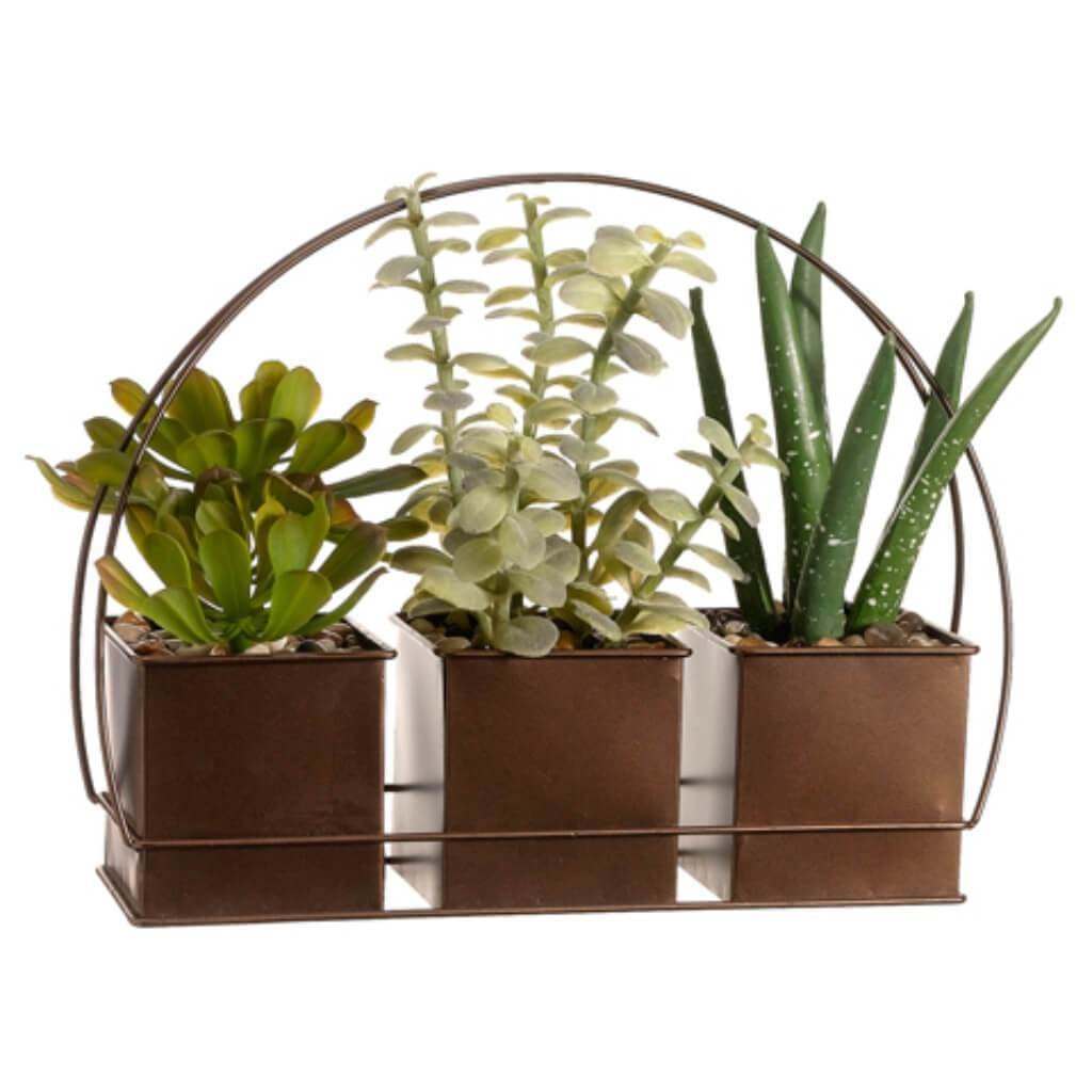 9"Tropical Plant(P)(3/St)Gr 
