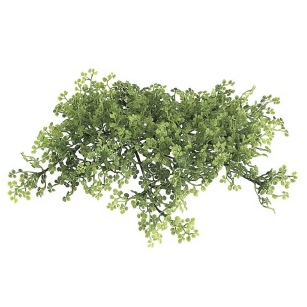 7.75"Baby Tear Pot Cover Gr/Lt 