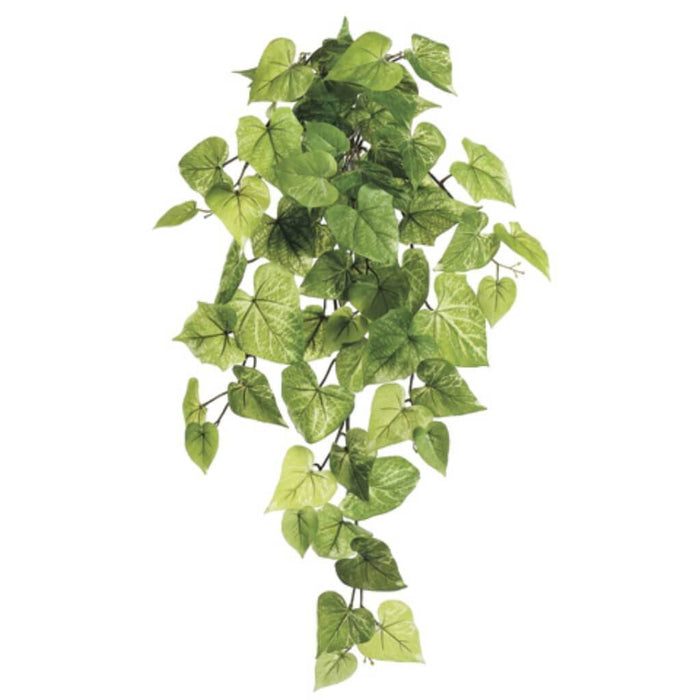 28"Potato Lf.Hg/Bu.X9 68L Grlt 